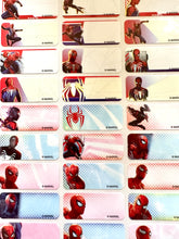 Load image into Gallery viewer, Spiderman