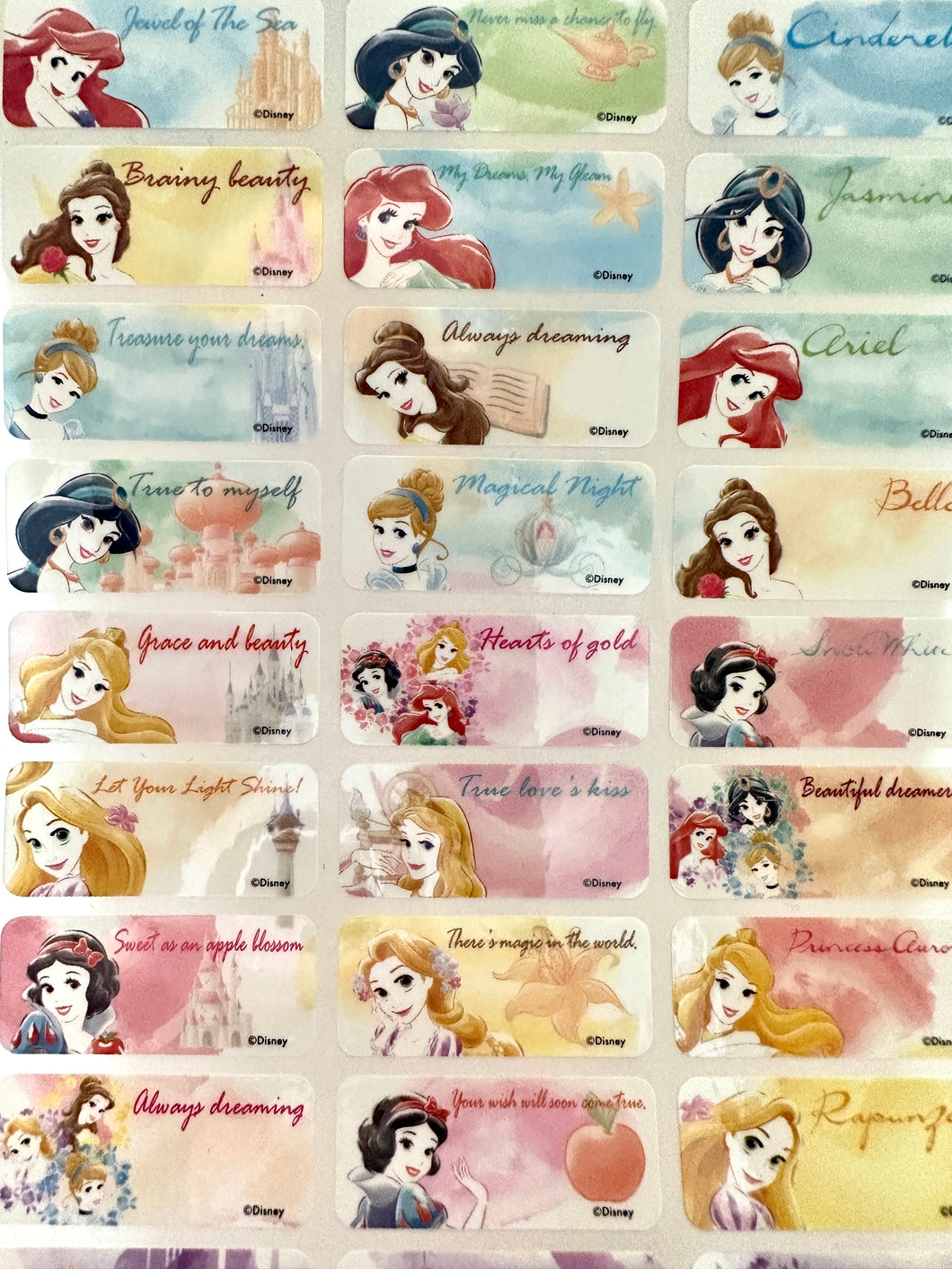 Disney Princess Characters