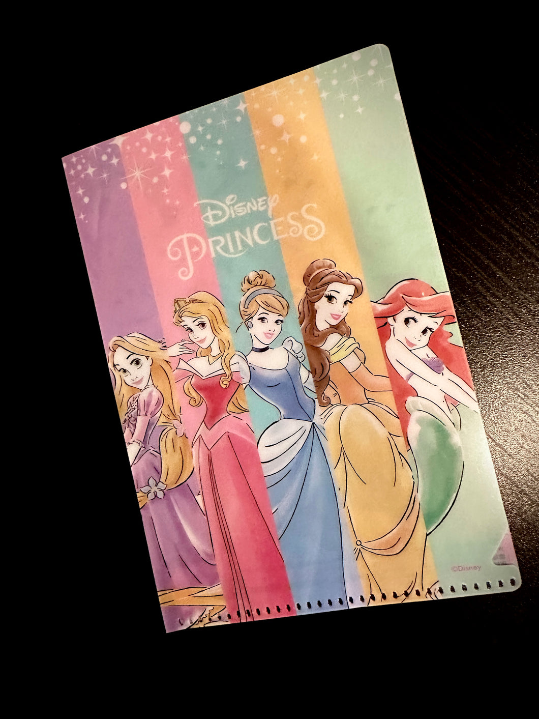 Disney Princess Mini Folder